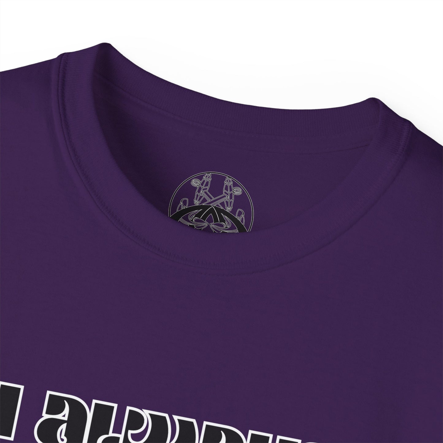 SIESTA FIESTA Tee