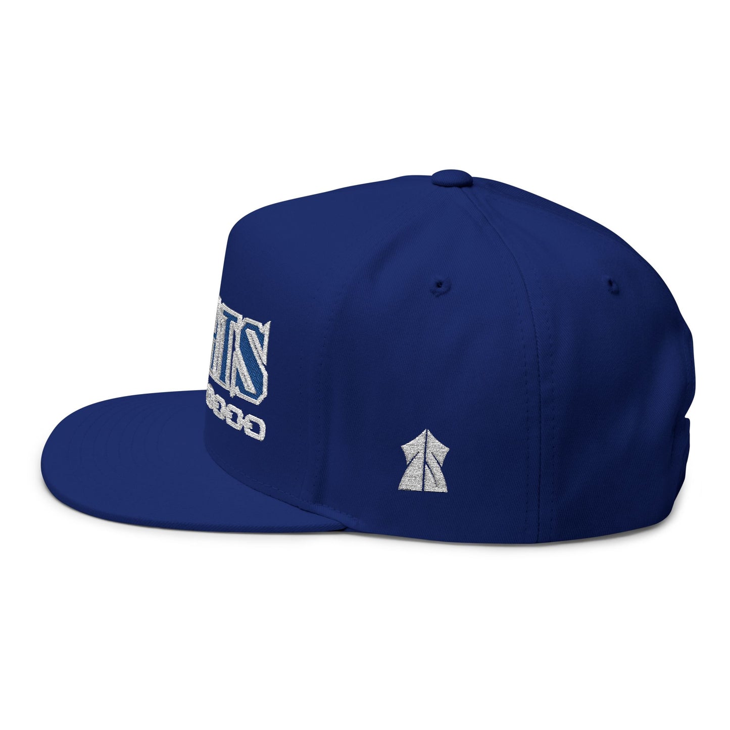 BOATS! Trendy Embroidered Snapback Hat
