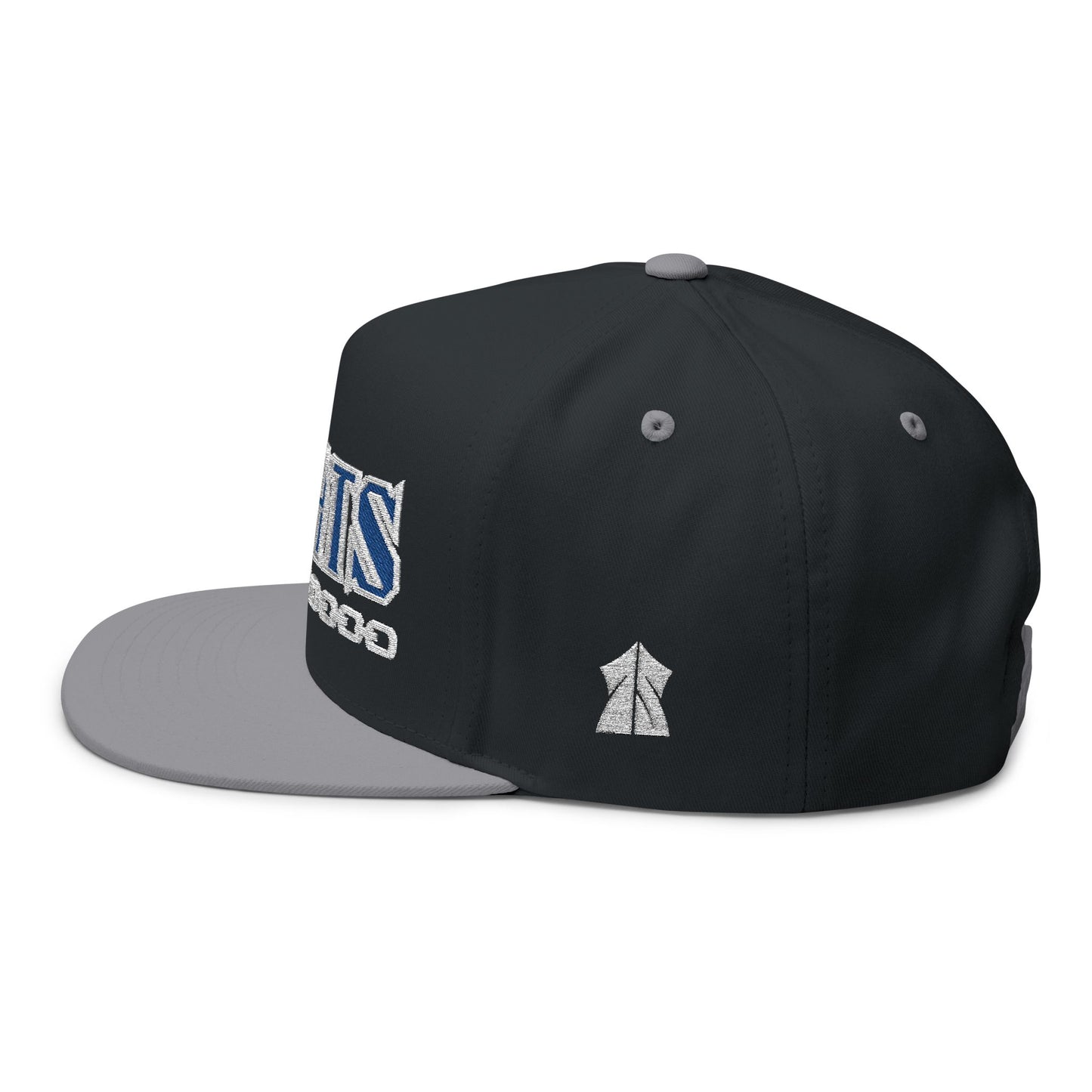 BOATS! Trendy Embroidered Snapback Hat