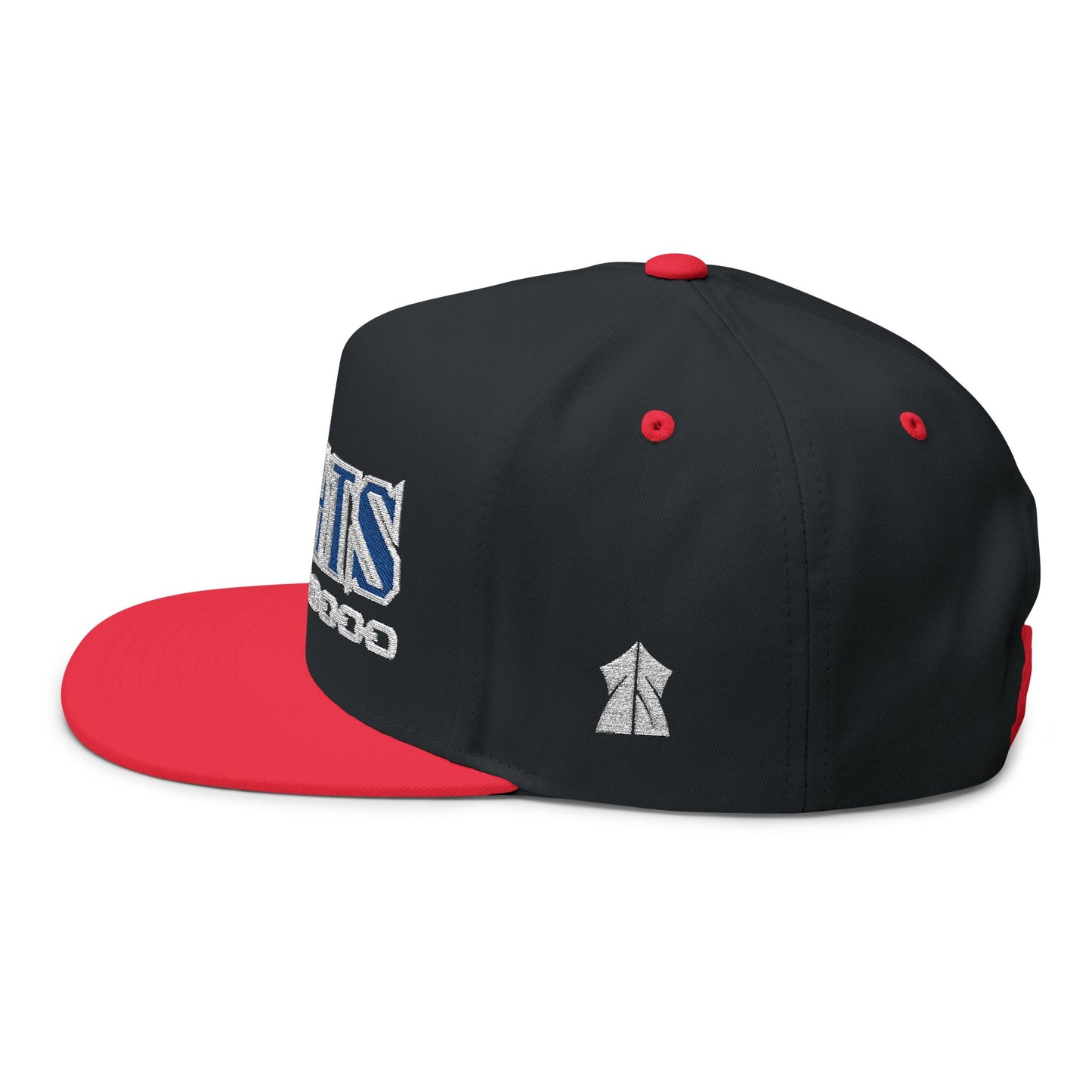 BOATS! Trendy Embroidered Snapback Hat