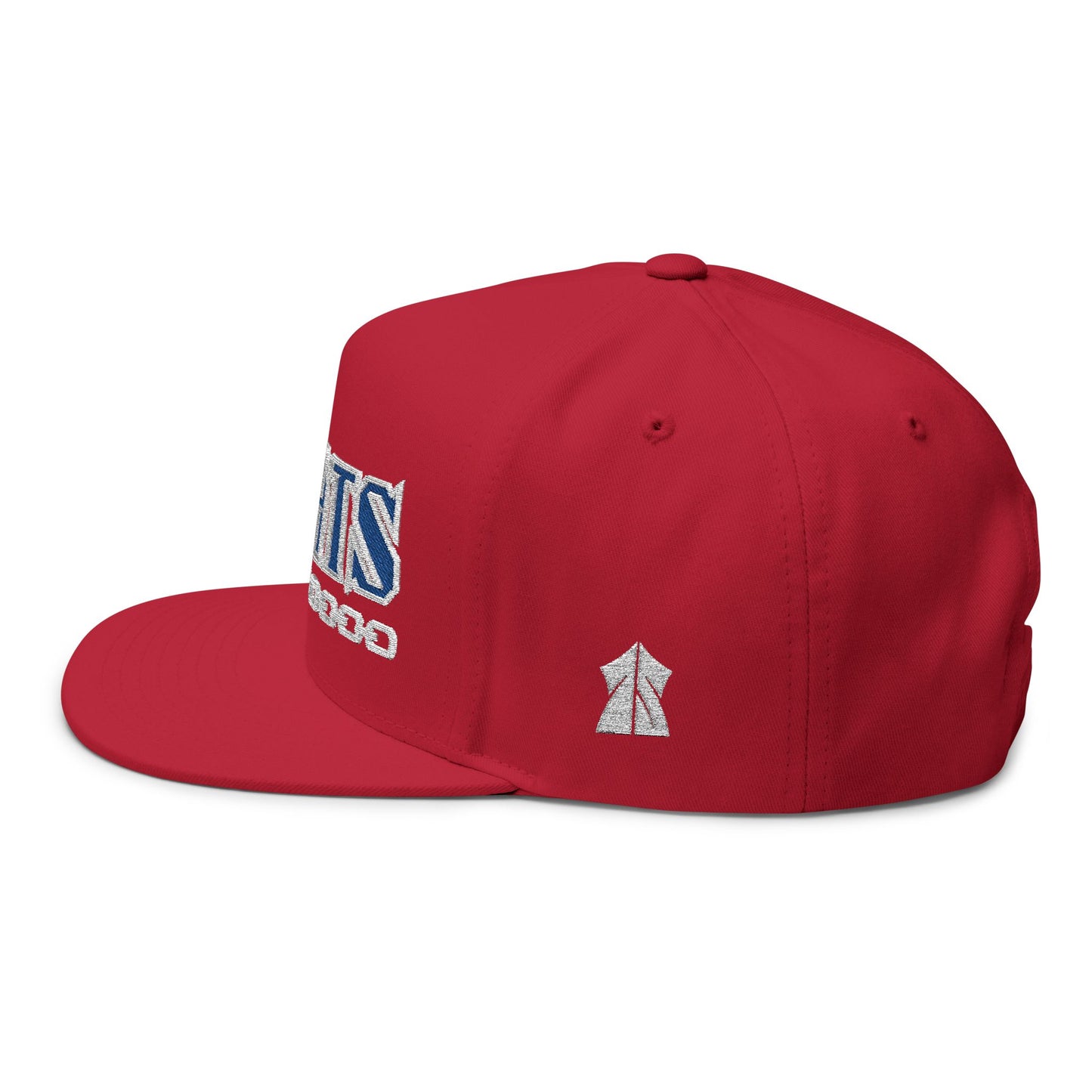 BOATS! Trendy Embroidered Snapback Hat